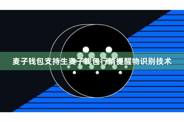 麦子钱包支持生麦子钱包行情提醒物识别技术
