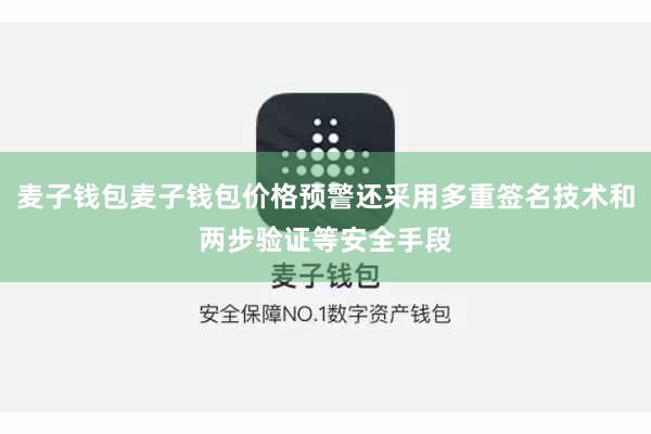 麦子钱包麦子钱包价格预警还采用多重签名技术和两步验证等安全手段