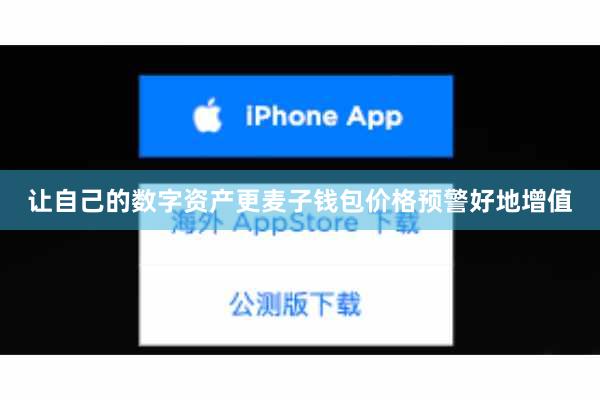 让自己的数字资产更麦子钱包价格预警好地增值