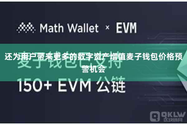 还为用户带来更多的数字资产增值麦子钱包价格预警机会